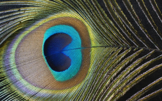 855797 (a): :1920x1200